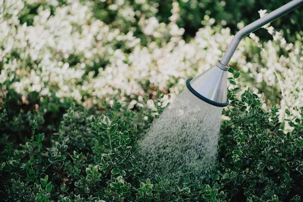 KECKEX Flächenreinigung: Wasserstrahl, natürlich, chemiefrei.