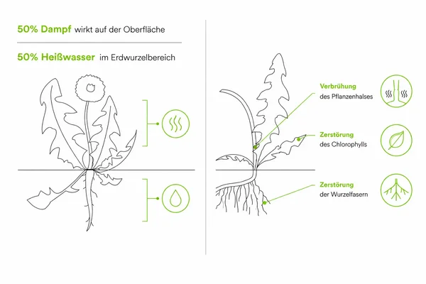 KECKEX Flächenreinigung ohne Chemie: Dampf-Heißwasser-Unkrautbekämpfung.