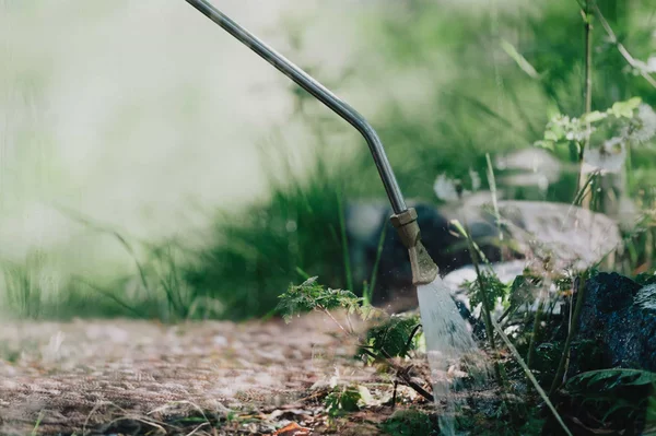 KECKEX Flächenreinigung ohne Chemie: Natürliche Sauberkeit mit Wasser.